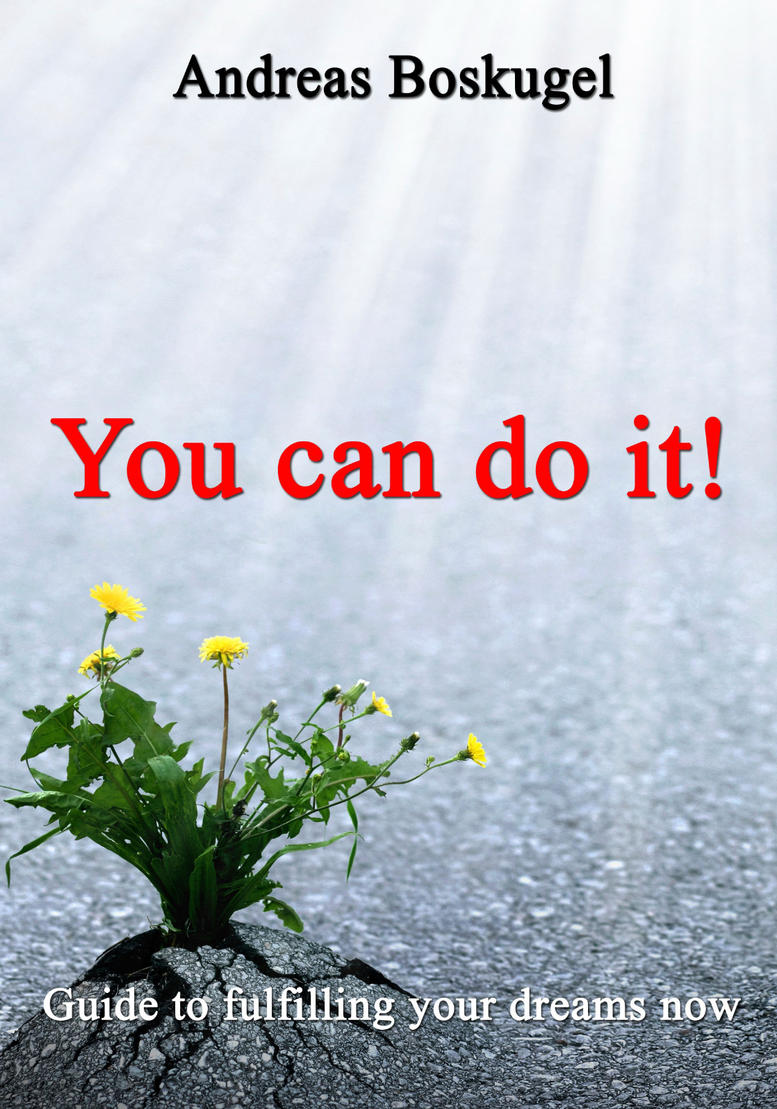 You Can Do It! cover